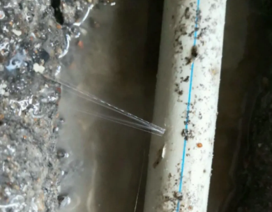 河池市测漏水哪家好