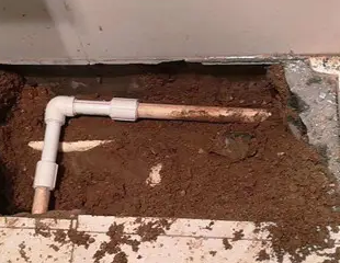 河池市测漏水哪家好