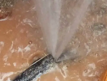 河池市水管漏水检测哪家好