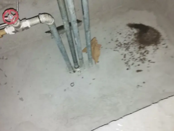 河池市卫生间测漏水价格明细