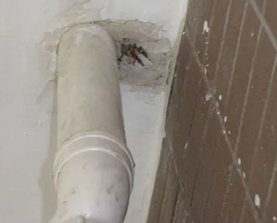 河池市漏水检测哪家好